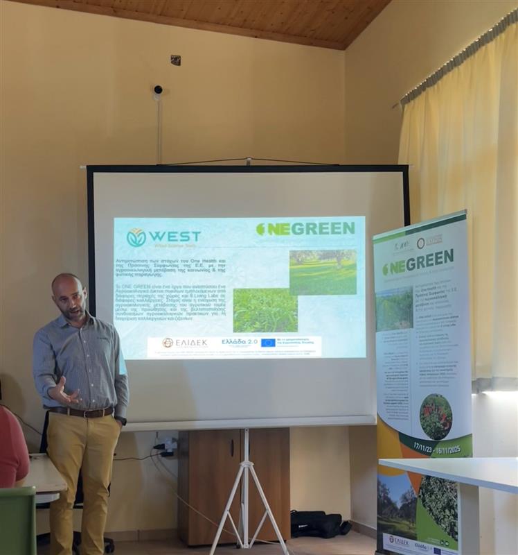 ONE GREEN Workshop in Pyrgos (Ilia)